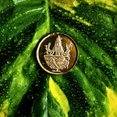 மாதங்கி பித்தளை சிலை